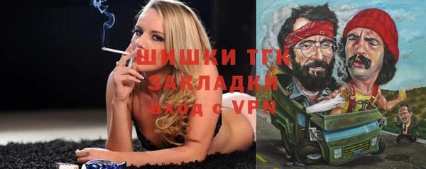 тгк Алзамай