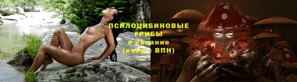 тгк Алзамай