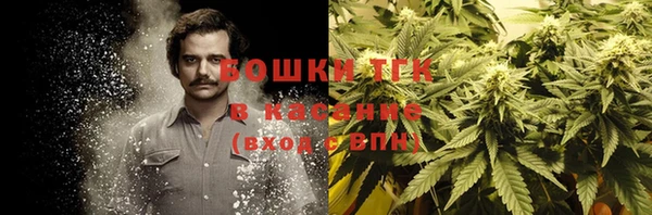сатива Алексин