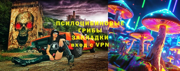 ГАЛЛЮЦИНОГЕННЫЕ ГРИБЫ Алексеевка